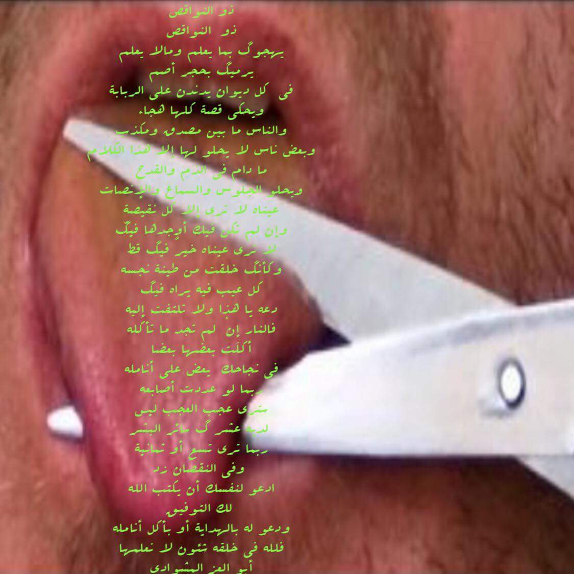 ذو النواقص