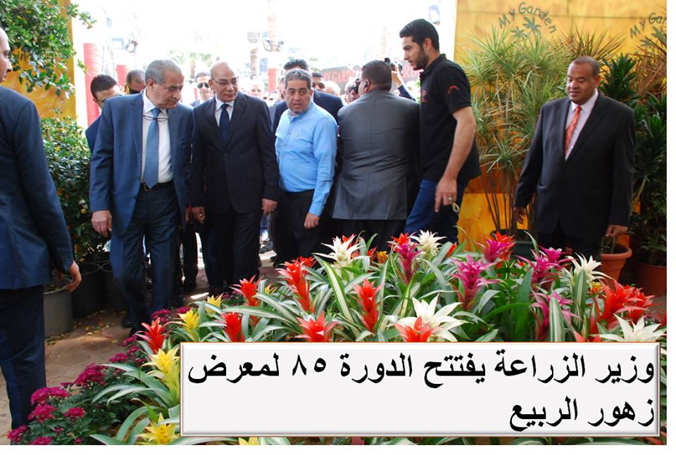 البنا | زراعة وتصدير طن واحد من الزهور يوفر 300 فرصة عمل مباشر وغير مباشرة