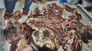 ضبط 255 كيلو جرام لحوم فاسدة داخل مطعم شهير في كفر الشيخ