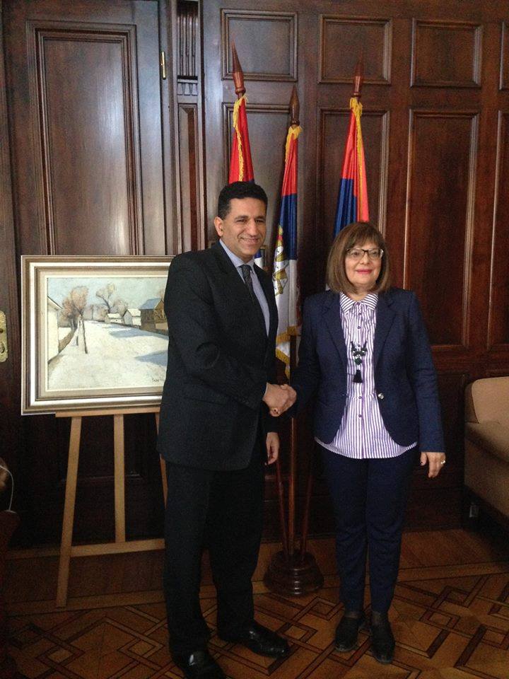 رئيسة البرلمان الصربى تؤكد على أهمية استئناف التعاون بين المجلسين التشريعيين