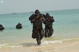 القوات المسلحة المصرية تشارك في تدريبات درع الخليج 1 في الجزيرة العربية