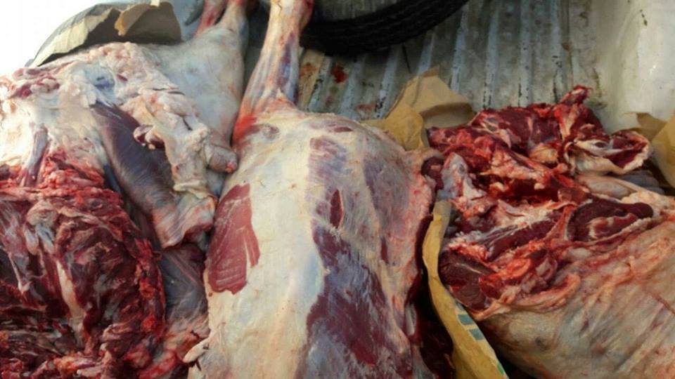 ضبط 110 كيلو لحوم بلدية غير صالحة قبل بيعها للمواطنين بديروط