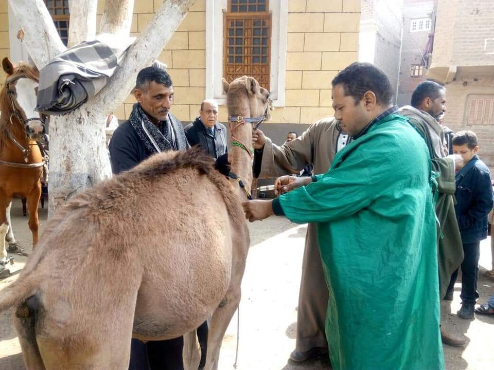 ”الزراعة” ترسل قوافل بيطرية لدعم صغار المربيين بقرى محافظة بني سويف