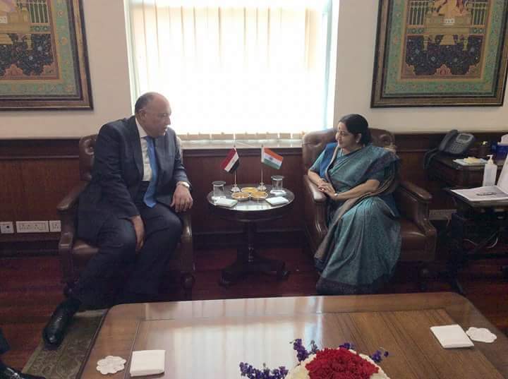وزير الخارجية يبحث التعاون الثنائي والقضايا الإقليمية مع نظيرته الهندية