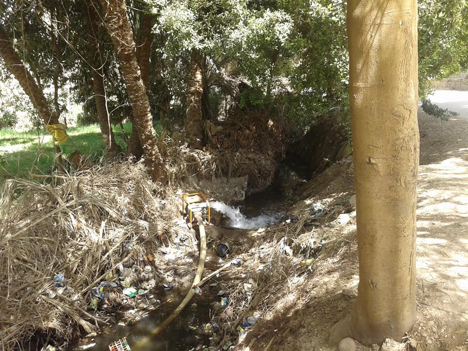 حماية يطالب بتطهير ترعة الغنايمية بنجع حمادي حرصاعلي الزراعات