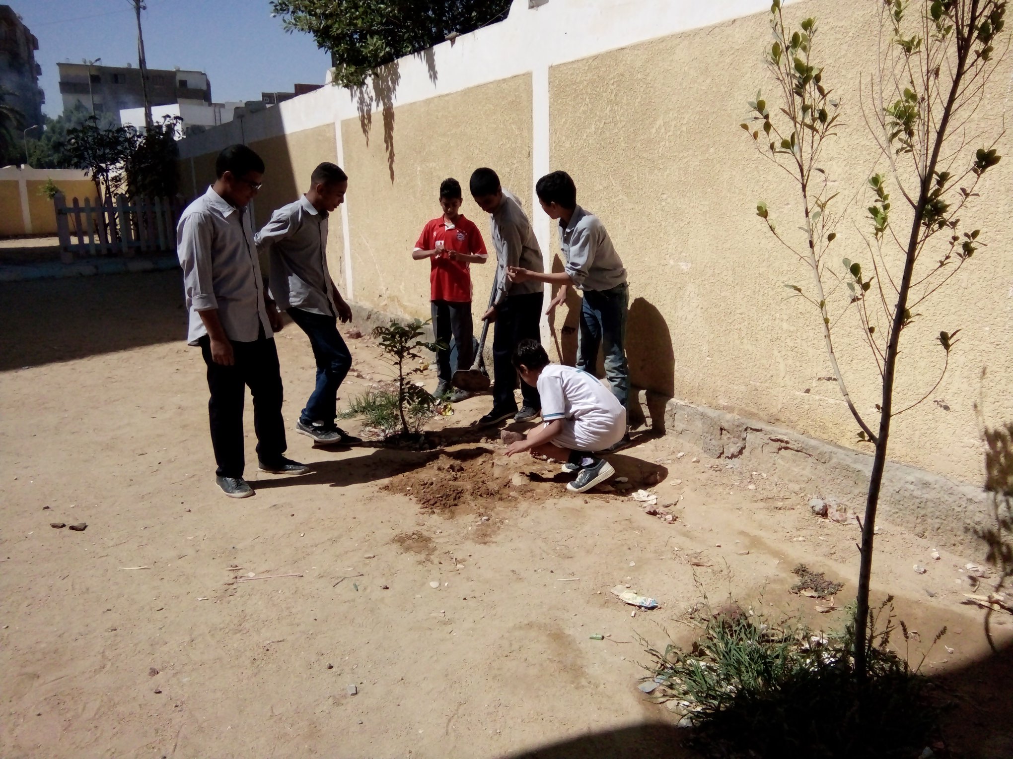 ” إزرع شجرة في مدرستك ” في مدرسة الشهيد مصطفي عباس بقنا