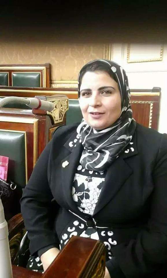 حصلت النائبة مها شعبان على موافقة  إعادة بناء مدرسة قلين التجارية بنات