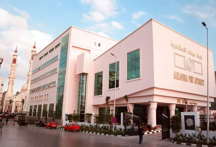 نشاط في حركة السفن والبضائع في ميناء الإسكندرية