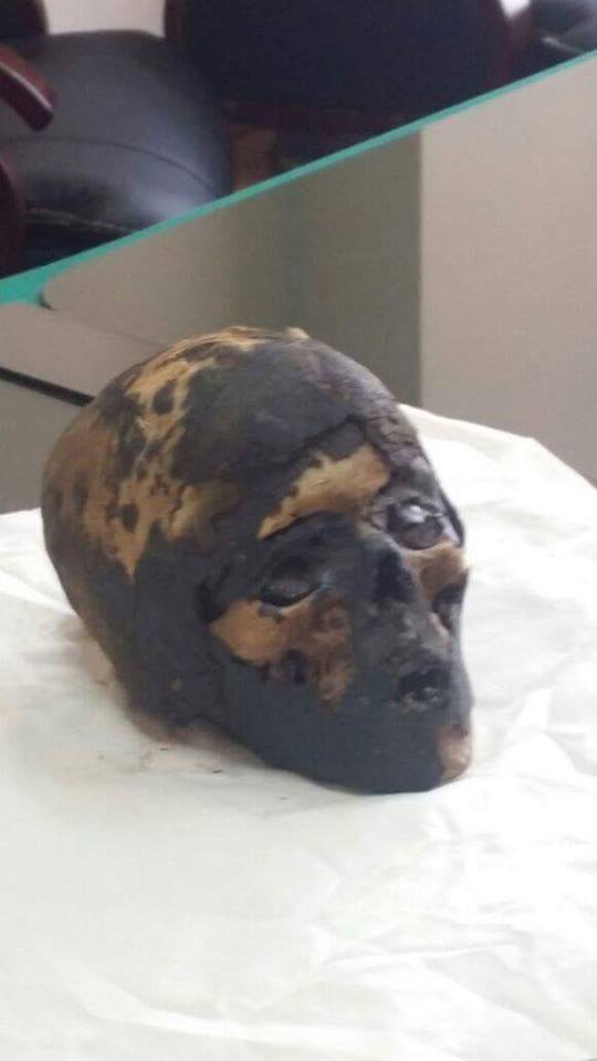 وزارة الخارجية تسلم وزارة الآثار قطع أثرية مهربة اليوم