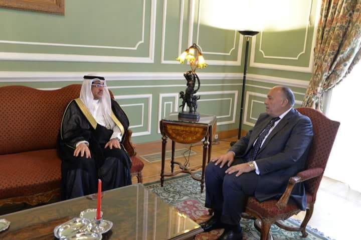 سامح شكري يلتقي عصام بن سعيد وزير الدولة وعضو مجلس الوزراء بالمملكة العربية السعودية