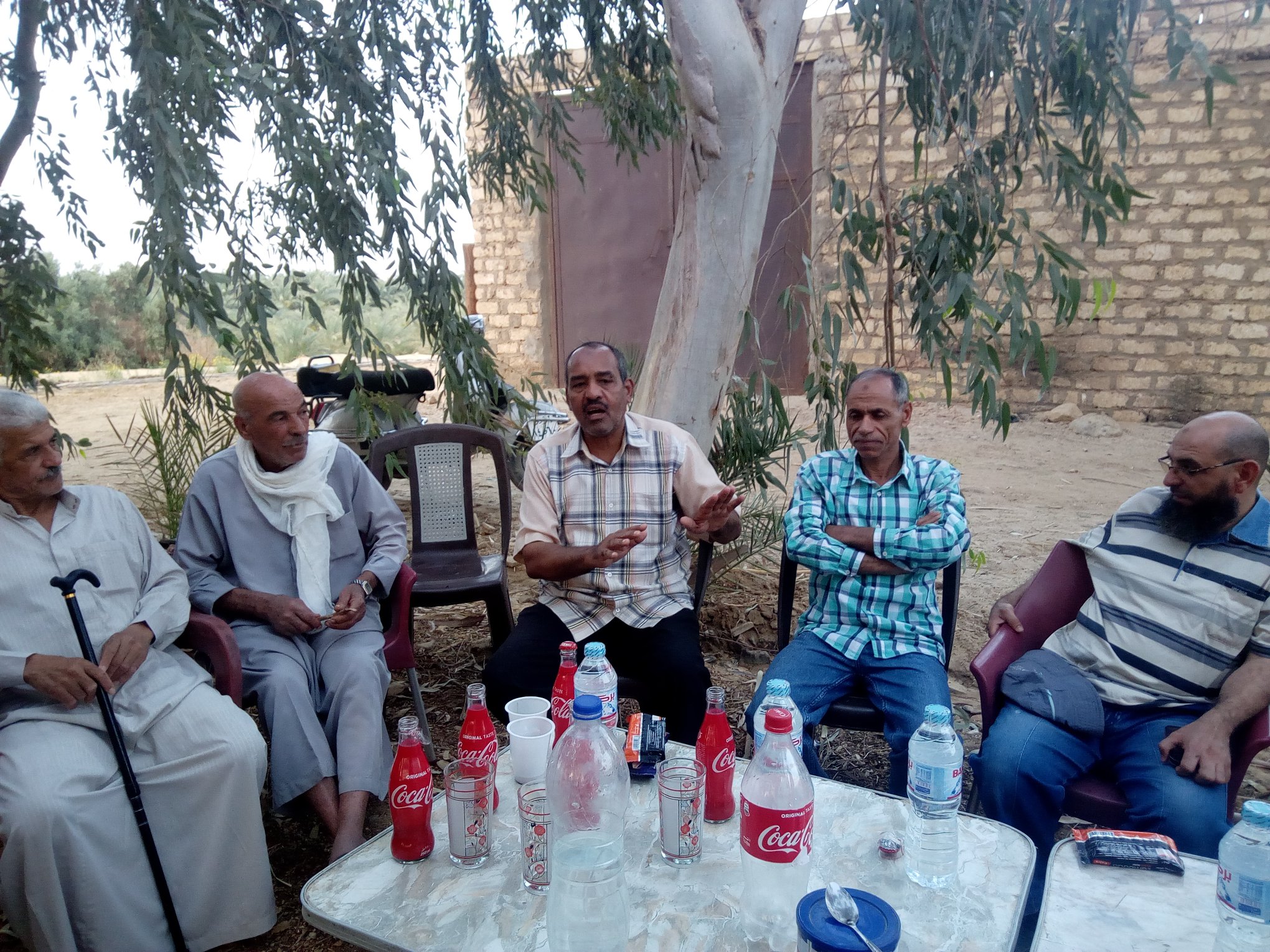 النيل للإعلام يناقش اقتصاديات نخيل البلح بالوادى الجديد