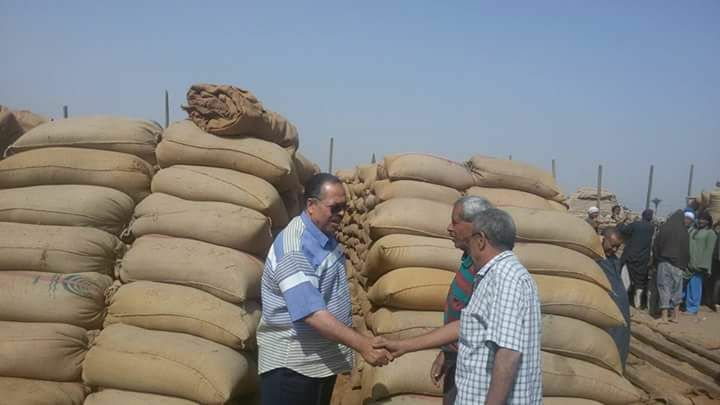 الطيبي يتابع عملية إستقبال محصول القمح بالشون