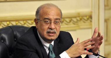 رئيس الوزراء يبحث التعاون مع الجانب الأوكراني في مجالات الصناعات الثقيلة