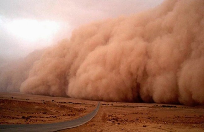 الأمطار والرمال ضربت مصر والحكومة تأمل في إدارة الأزمة