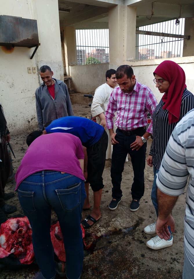 محافظ سوهاج يؤكد علي متابعة العمل بثلاجات اللحوم ومجازر جرجا والبلينا