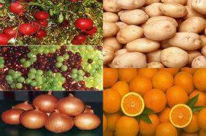 وزير الزراعة يعلن نجاح المفاوضات المصرية الروسية في زيادة حركة التبادل التجاري للبطاطس والقمح