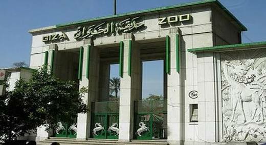 استعدادات حديقة الحيوان لإستقبال عيد الفطر المبارك