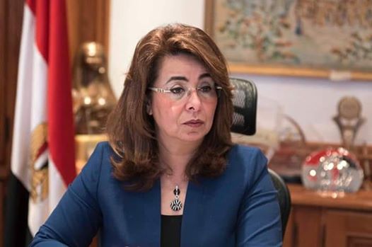 والي: 7500 مشروع ”مستورة” بقيمة 113 مليون جنيه