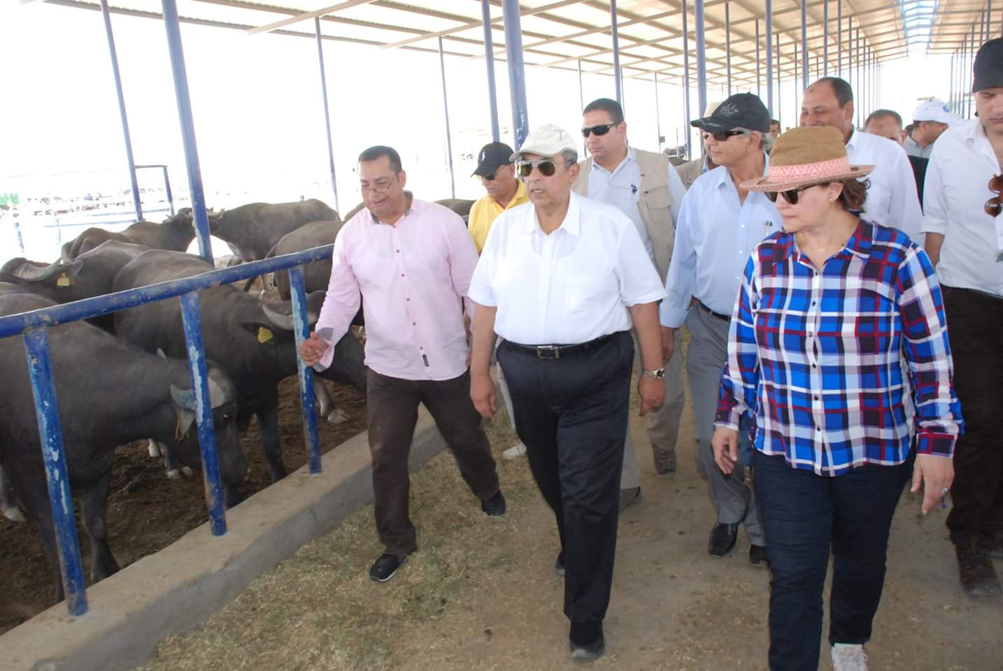 وزير الزراعة ونائبته وفريق علمي يتفقدون مشروع غرب غرب المنيا