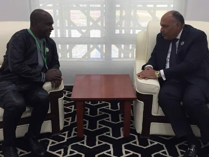 وزير الخارجية يبحث التعاون الثنائي وإصلاح مجلس الأمن مع وزير خارجية سيراليون