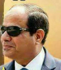 السيسي.. يفرض رسوم وتراخيص جديدة تعرف  علي السبب