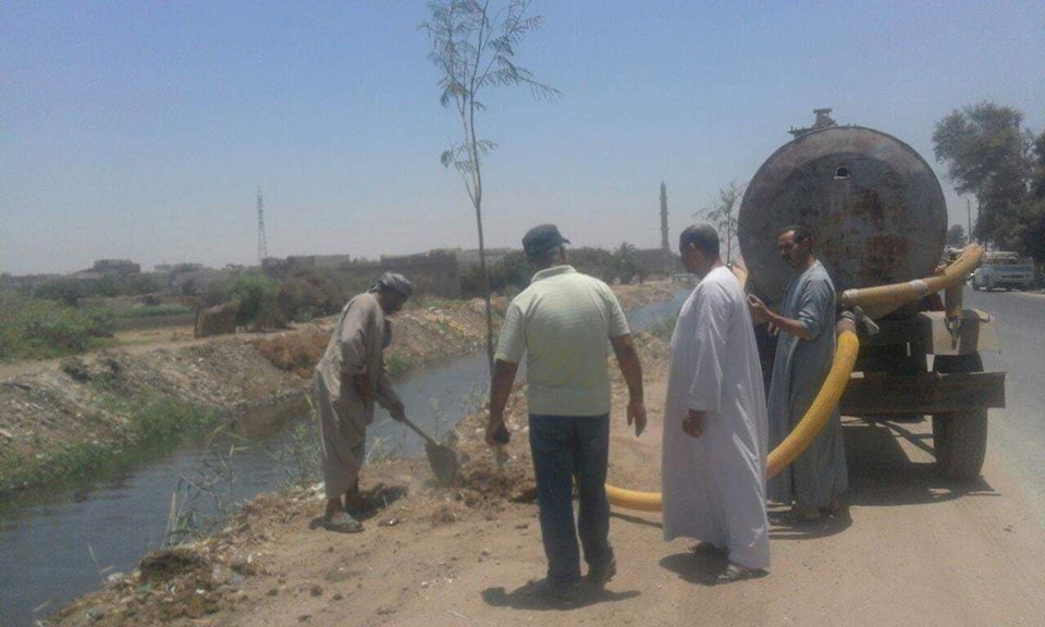 تشجير مداخل القرى وزراعة طريق مصرف المحيط بالمنيا
