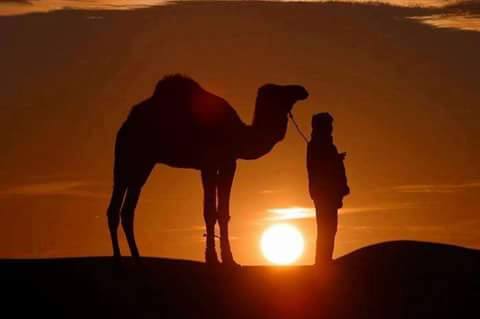 درويش علي باب الله