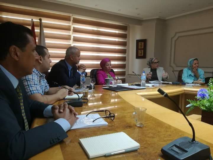 وزيرة البيئة تناقش دراسة مشروع إحلال المركبات الكهربائية