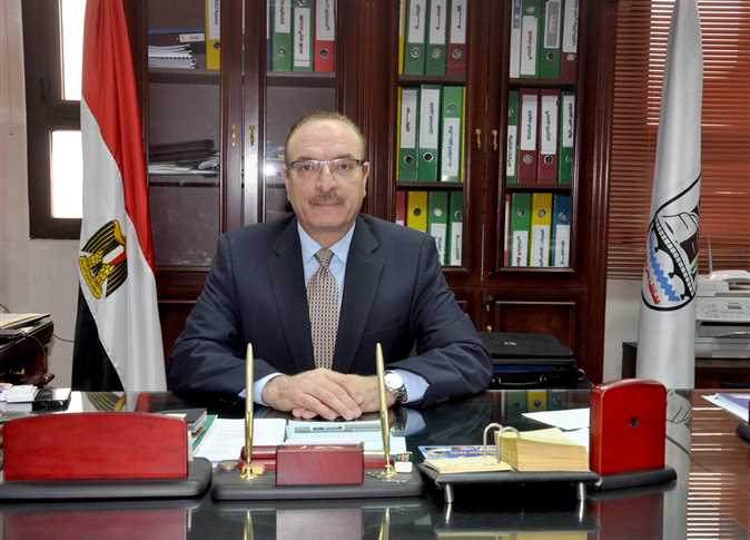 محافظ بنى سويف يؤكد أن مشروع محطة الكهرباء يمثل نقطة جذب قوية للاستثمار