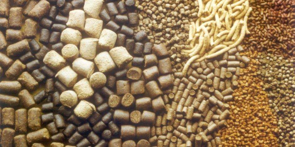 الزراعة توافق على 690 تسجيلة مخاليط أعلاف ومركزاتها وإضافاتها