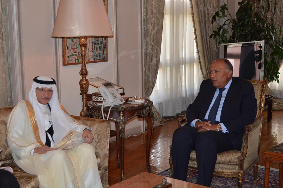 وزير الخارجية يستقبل أمين عام منظمة التعاون الإسلامي