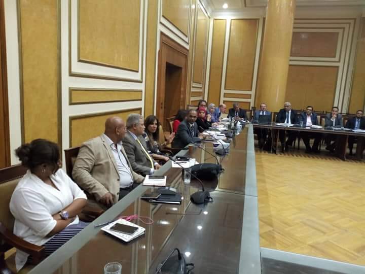 نائب وزير الإسكان تتابع الموقف التنفيذى للمرحلة الأولى من البرنامج القومى للصرف الصحى للقرى