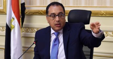 مجلس الوزراء يتابع اجراءات مكافحة النمل الأبيض بمحافظات أسوان والأقصر