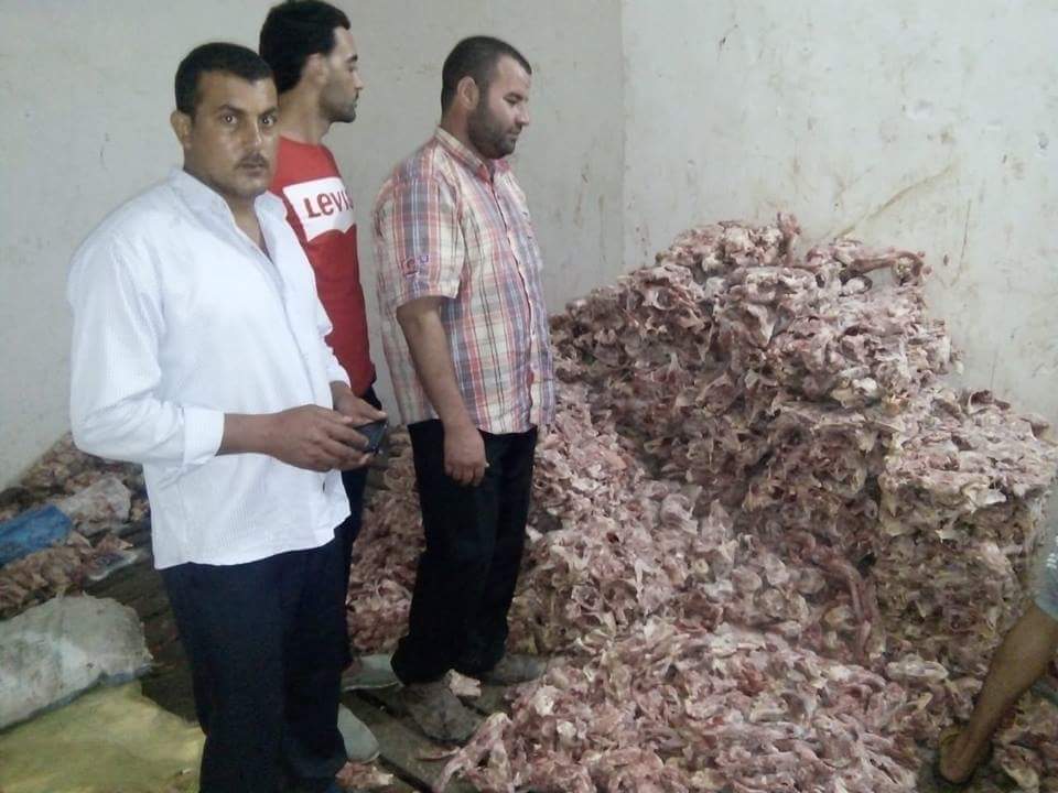 الزراعة: ضبط 20 طن لحوم فاسدة في 5 محافظات