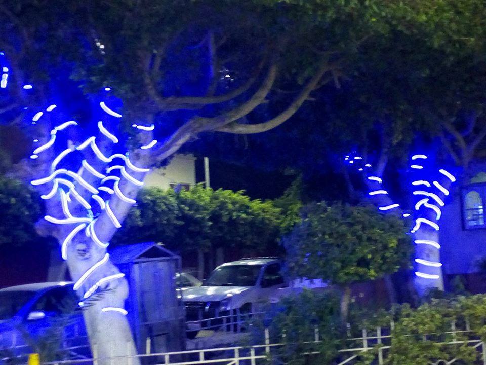 بالصور...كفر الشيخ ترتدي ثوب العيد