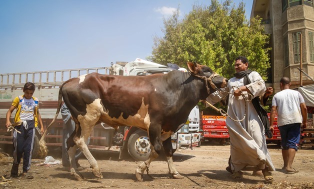 معاقبة باعة اللحم الفاسد بالسجن لمدة 3 سنوات