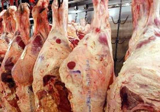 تموين الإسكندرية يضبط لحوم غير صالحة للاستهلاك الآدمي