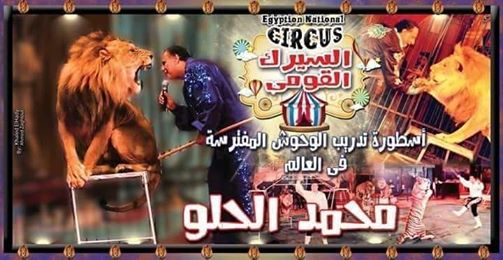 السيرك القومى يواصل تقديم برامجه فى ثلاث مواقع