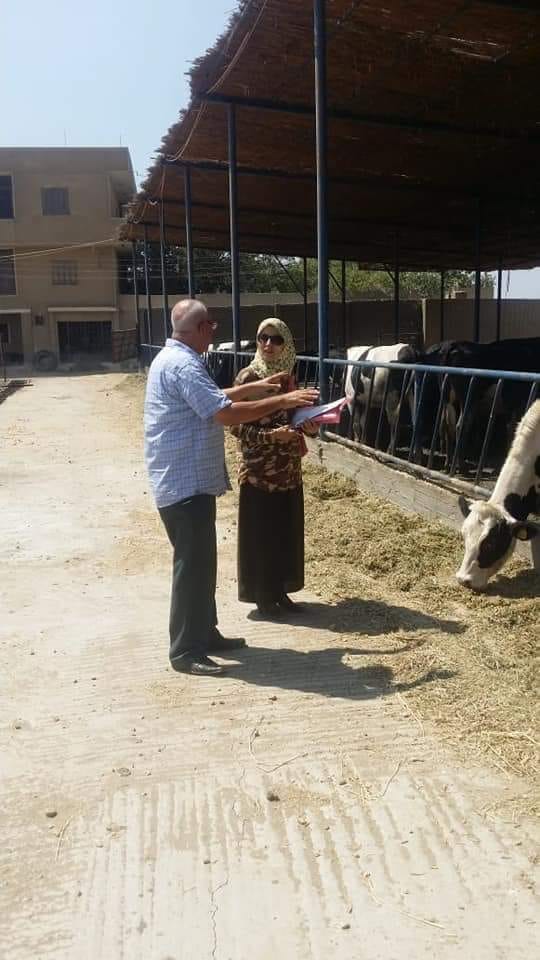 ”الزراعة” ترخيص 1096 مشروع نشاط داجنى وحيوانى وعلفى خلال شهر أغسطس