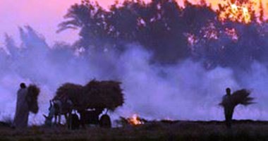 وزارة البيئة تنهي استعدادها لمواجهة السحابة السوداء