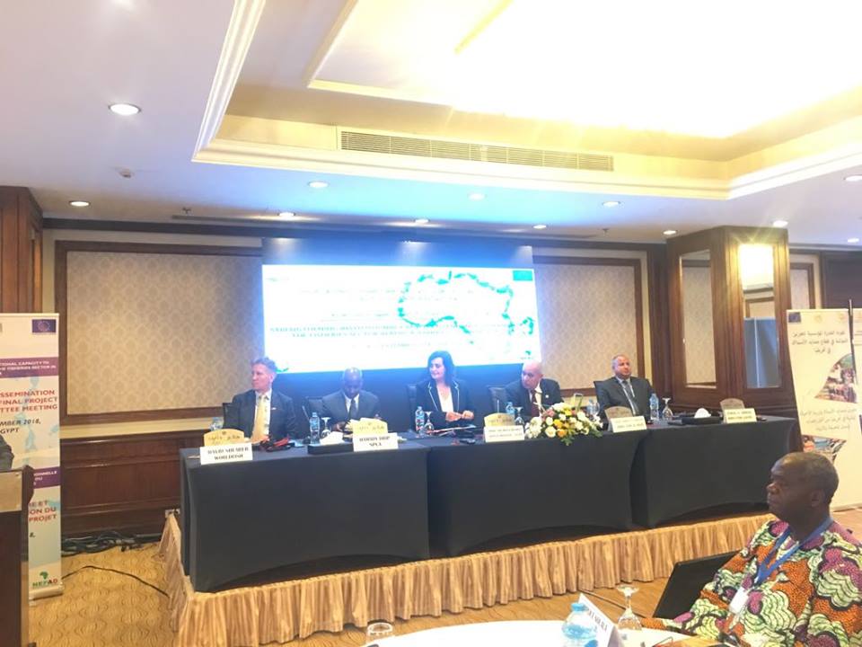 نائب وزير الزراعة تفتتح ورشة العمل الدولية لمشروع حوكمة مصائد الأسماك