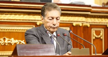 البرلمان المصري يعرب عن انزعاجه بسبب التدخلات الخارجية فى شئون ليبيا