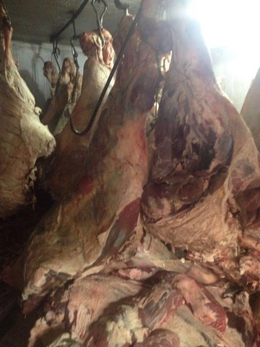 النيابة تقرر إعدام اللحوم غير صالحة للاستهلاك الآدمي بمحافظة القاهرة
