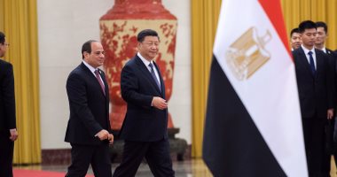 بسام راضى يكشف تفاصيل جولات الرئيس السيسي الخارجية