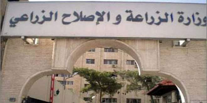 ضبط 36 ألف عبوة مبيدات مغشوشة وغلق 766 محل غير مرخص  بالمحافظات