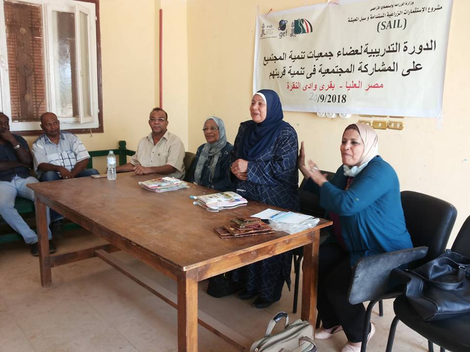القومي للمرأة بأسوان يبحث المشاركة المجتمعية وتنمية المجتمع