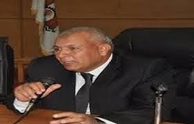 محافظة الوادى الجديد تؤكد توصيل المرافق لأراضى الجمعيات بـ50%