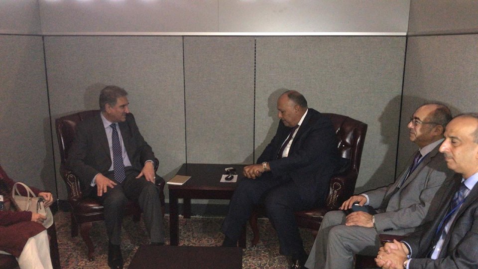 وزير الخارجية يبحث التعاون الثنائي مع نظيره الباكستاني