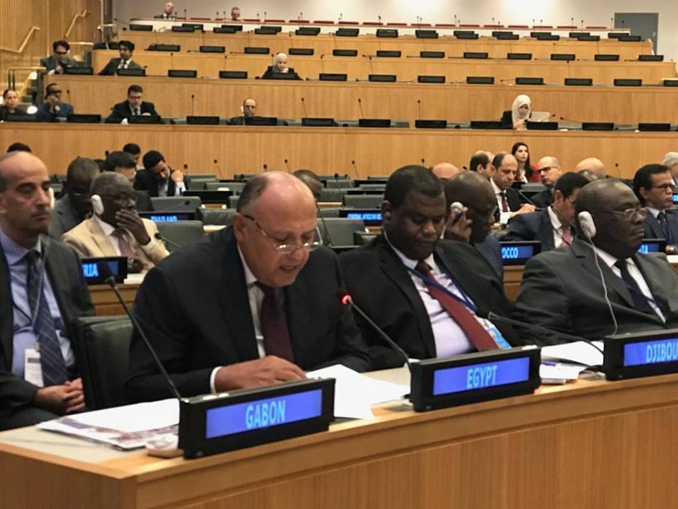 كلمة مصر خلال اجتماع وزراء خارجية دول منظمة التعاون الإسلامي