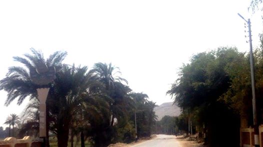 أبو الحارث بأبوتيج تستغيث من المسؤولين من عدم وجود الخدمات